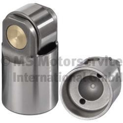 20100910001 BF Tappet
