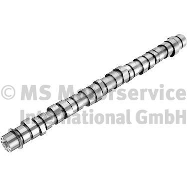 20100413009 BF Camshaft