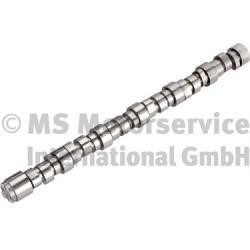 20101413000 BF Camshaft