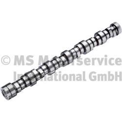 20100910501 BF Camshaft