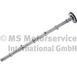 20100347101 BF Camshaft