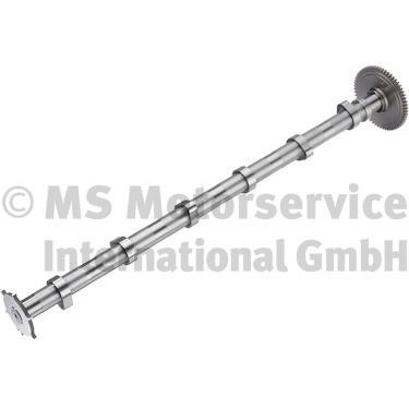 20100911000 BF Camshaft