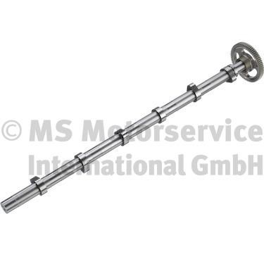 20100393600 BF Camshaft