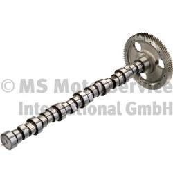 20100390605 BF Camshaft