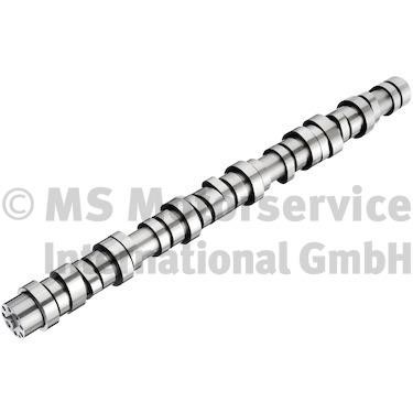 20100413010 BF Camshaft