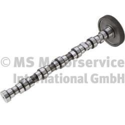 20100407100 BF Camshaft