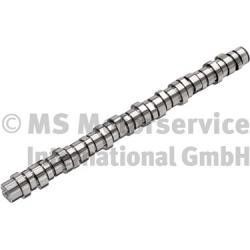 20100413005 BF Camshaft