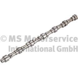 20100910502 BF Camshaft