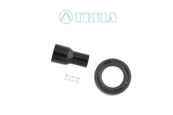 Tesla CP089 Plug, spark plug CP089