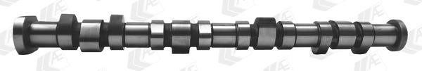 Camshaft Mini Cooper: CAM996 AE Camshaft