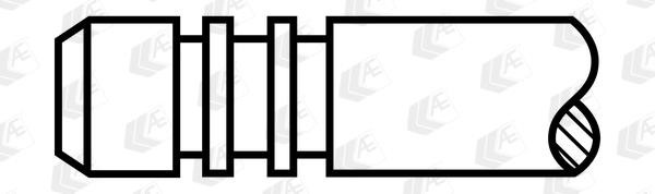 AE V80022 Intake valve V80022