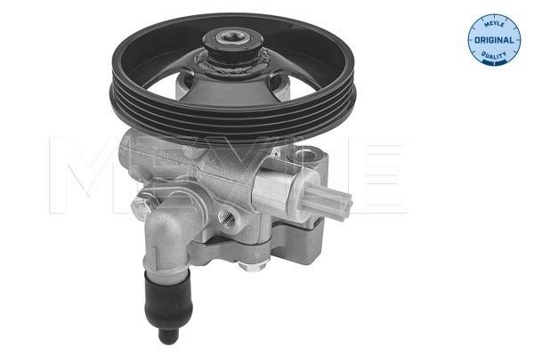 hydraulic-pump-steering-system-614-631-0019-49839415