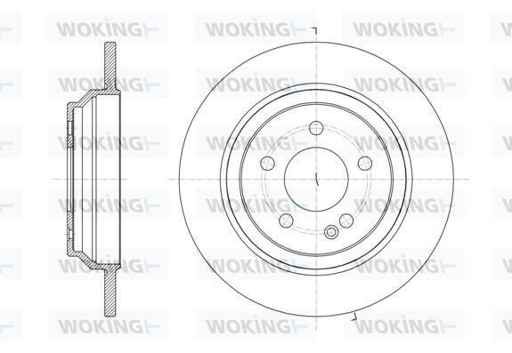 Woking D6161600 Rear brake disc, non-ventilated D6161600