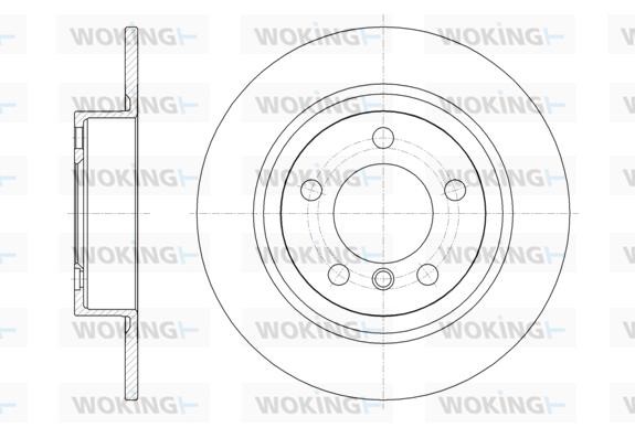 Woking D6161900 Rear brake disc, non-ventilated D6161900