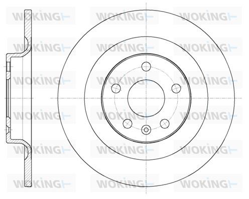 Woking D61796.00 Rear brake disc, non-ventilated D6179600