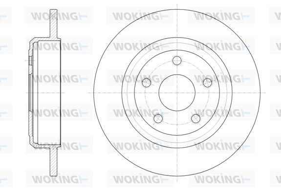 Woking D61669.00 Rear brake disc, non-ventilated D6166900