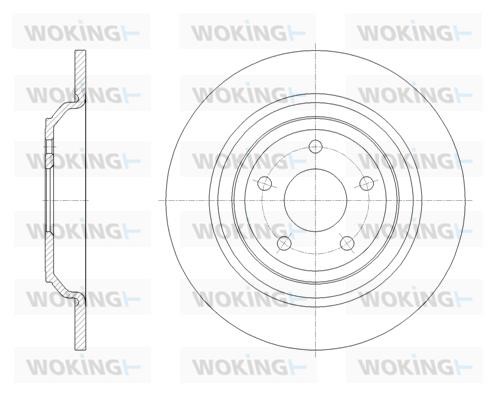 Woking D62095.00 Rear brake disc, non-ventilated D6209500