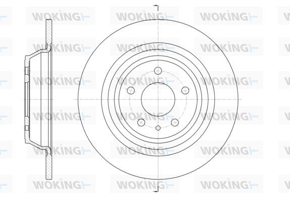 Woking D6160600 Rear brake disc, non-ventilated D6160600