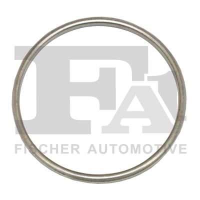 FA1 751969 O-ring exhaust system 751969