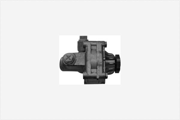 Depa PA1301 Hydraulic Pump, steering system PA1301