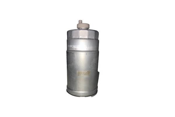 Bugiad BSP25057 Fuel filter BSP25057