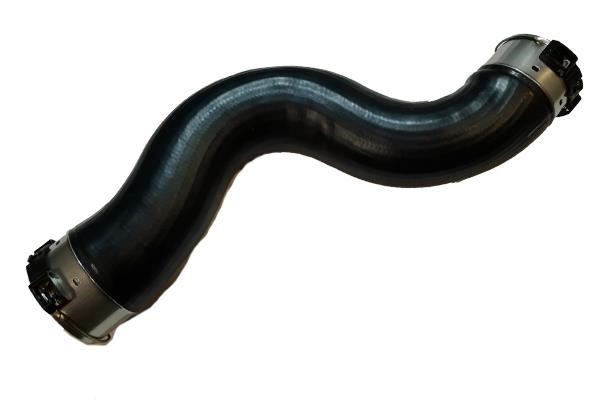 Intercooler hose pipe BMW 5 series: 81743 Bugiad Intercooler pipe