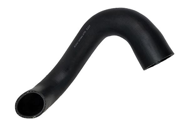 Turbo hose Fiat Ducato: 81755 Bugiad Intercooler pipe