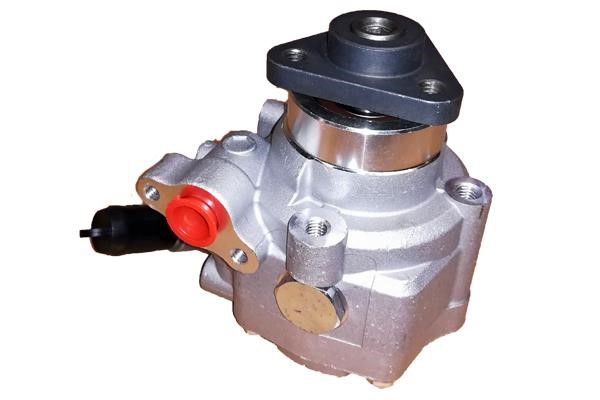 Bugiad BSP25083 Hydraulic Pump, steering system BSP25083