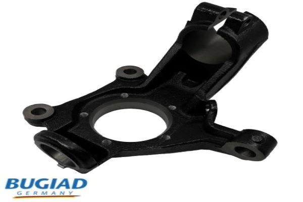 Wheel stub axle Ford: BSP25319 Bugiad Knuckle swivel