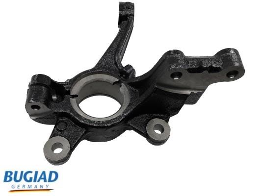 Wheel stub axle Ford: BSP25316 Bugiad Knuckle swivel