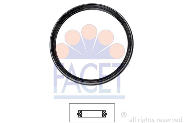 Facet 79720 Termostat gasket 79720