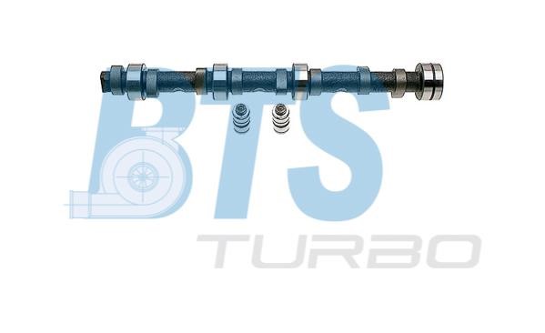 BTS Turbo CP62253 Camshaft set CP62253
