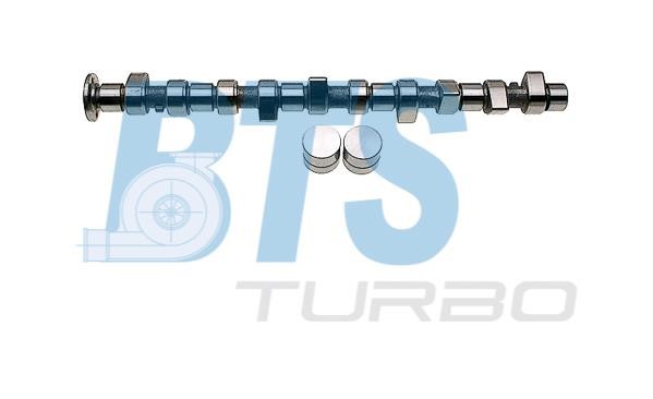 BTS Turbo CP61919 Camshaft set CP61919