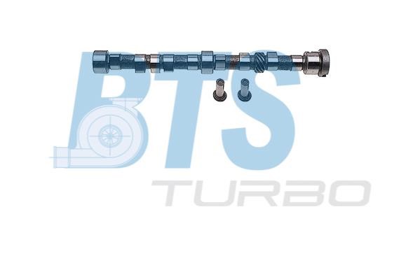 BTS Turbo CP61101 Camshaft set CP61101
