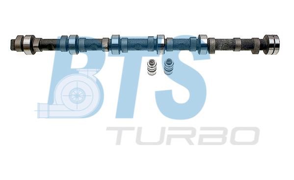BTS Turbo CP62273 Camshaft set CP62273