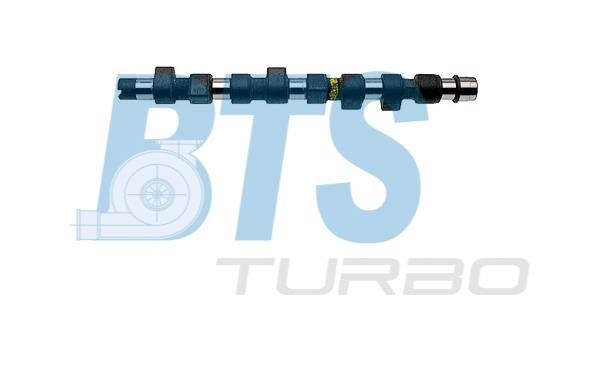 BTS Turbo CP16377 Camshaft CP16377