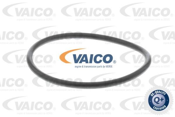 Buy Vaico V1030181 at a low price in United Arab Emirates!