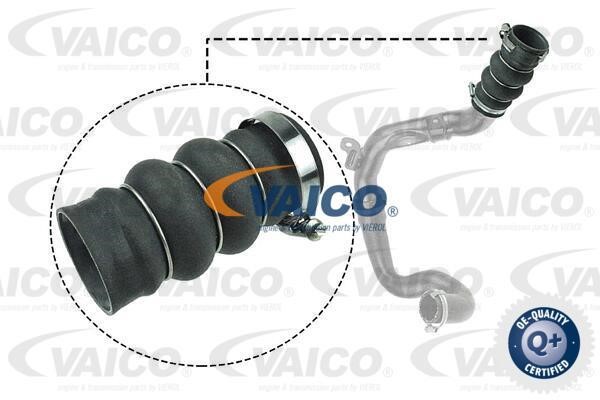 Vaico V251052 Charger Air Hose V251052