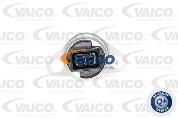 Buy Vaico V202956 at a low price in United Arab Emirates!