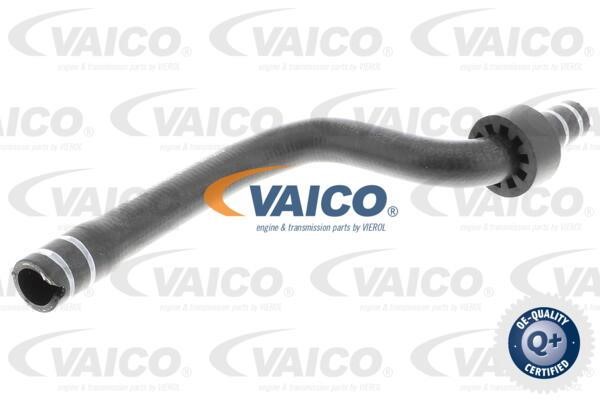 Vaico V240850 Hose, heat exchange heating V240850