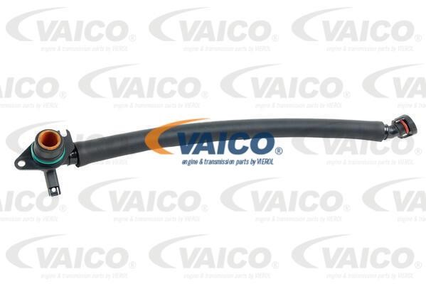Vaico V203252 Hose, cylinder head cover breather V203252