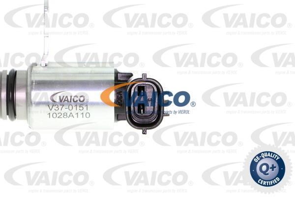Buy Vaico V370151 at a low price in United Arab Emirates!