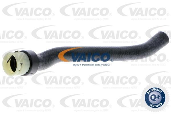 Vaico V402006 Hose, heat exchange heating V402006