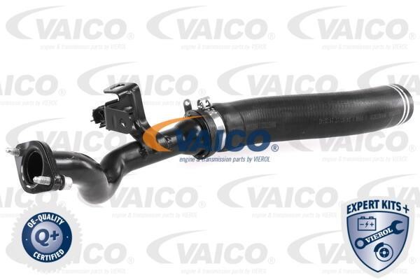 Vaico V240722 Charger Air Hose V240722