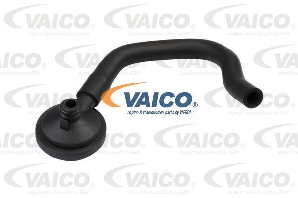 Vaico V460821 Charger Air Hose V460821