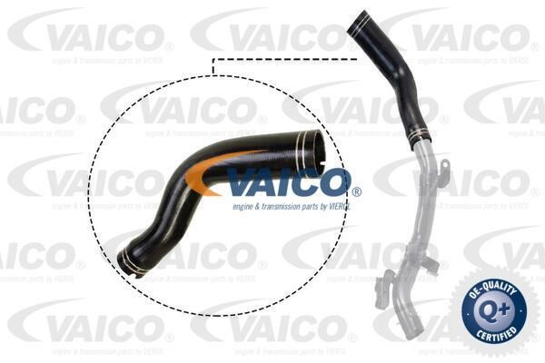 Vaico V240694 Charger Air Hose V240694