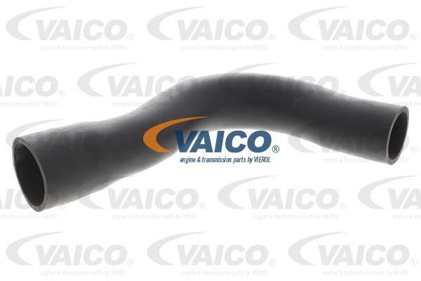 Vaico V202776 Hose, fuel system pressure tester V202776