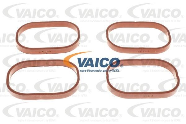 Buy Vaico V203118 at a low price in United Arab Emirates!