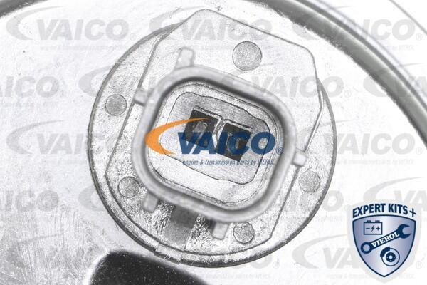 Buy Vaico V700392 at a low price in United Arab Emirates!