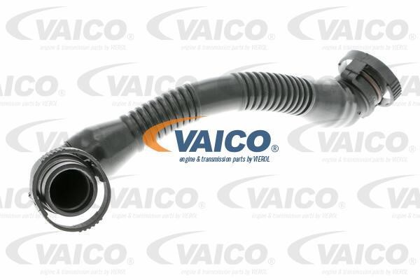 Crankcase ventilation pipes and hoses Audi A6: V104693 Vaico Breather Hose for crankcase